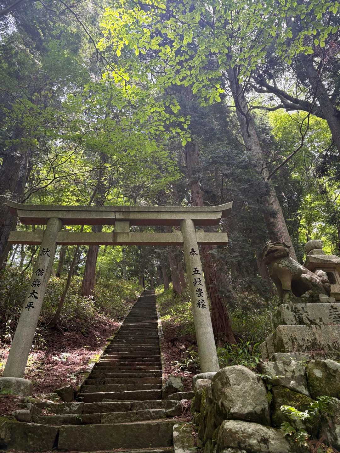 ⛩️山頂へ⤴️