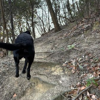 よし行けっ！！