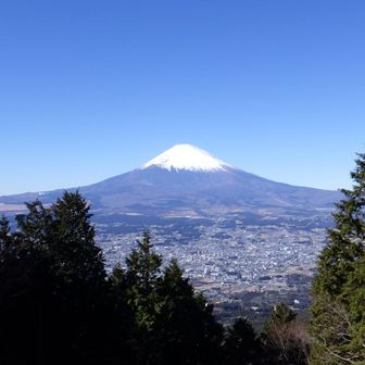 ここからの富士山も見事。乙女峠って素敵な名前だけれど、