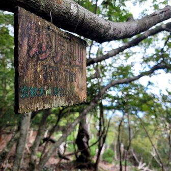 妙見山は
三個目見晴らしなし