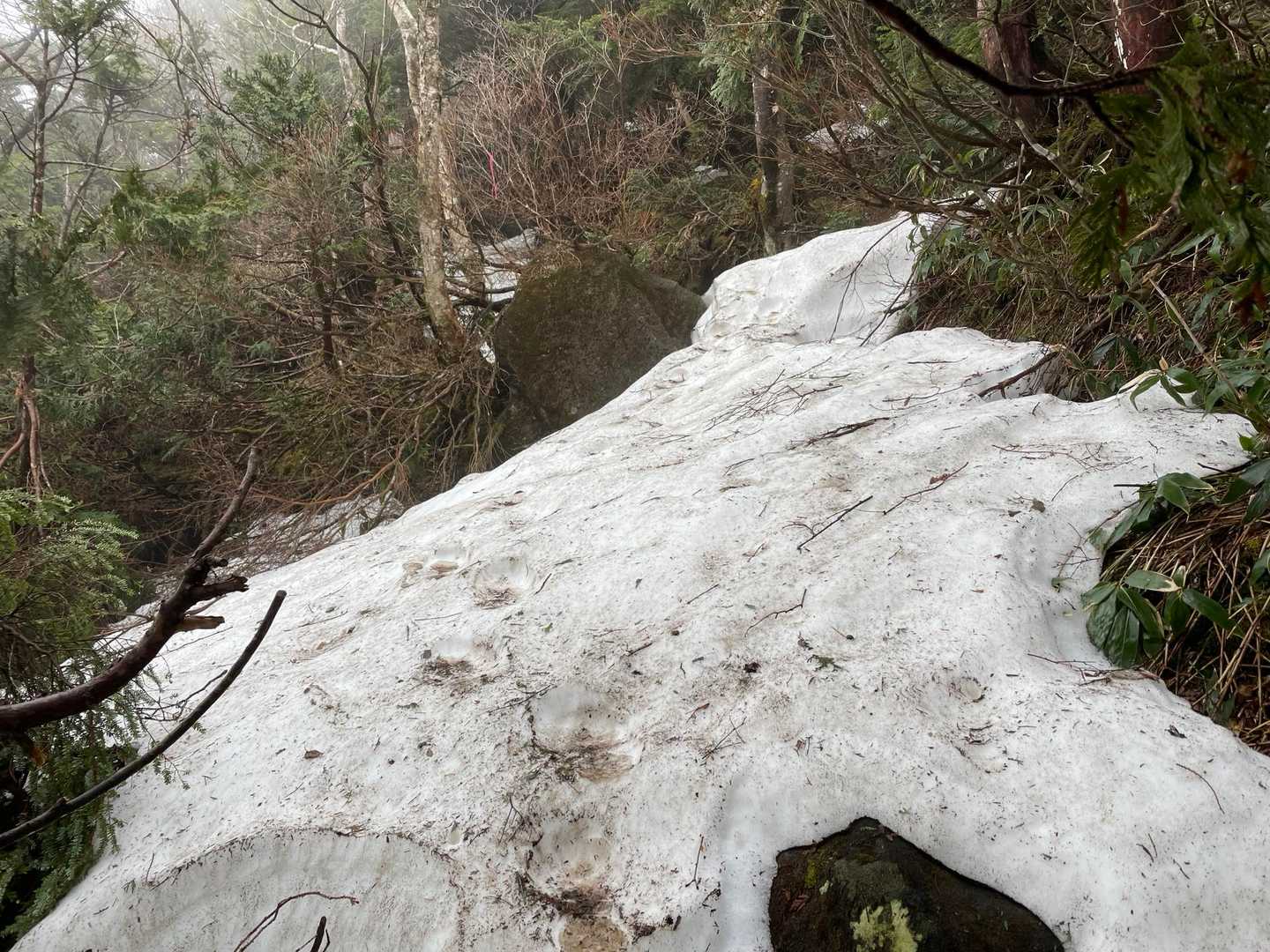 雪が増える