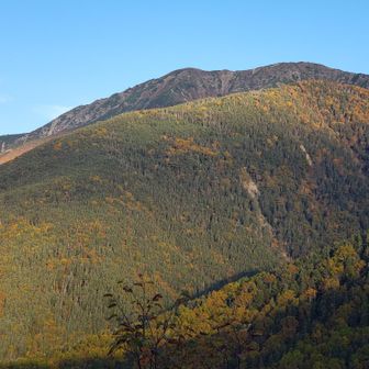 荒川岳の頭