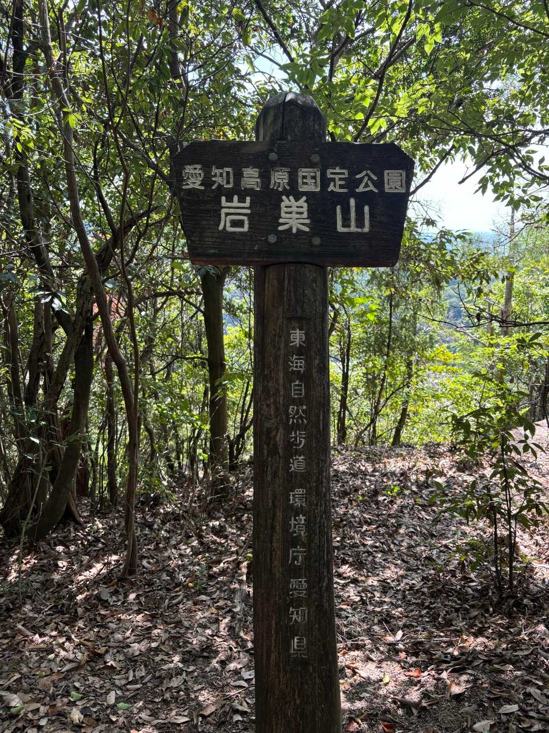 元岩巣山-岩巣山 往復コースの写真