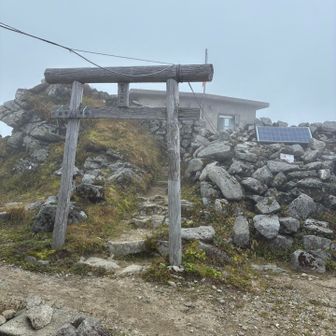 神社⛩️