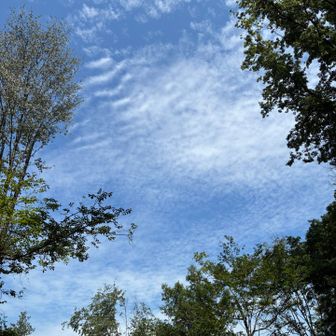 雲はこんな感じ