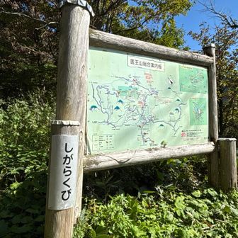 到着です。素晴らしい秋空の中の山は最高で
忘れられない一日に感謝あるのみ
お誘いに感謝・感謝です。

ippoには、なくてはならない山　もう少し鍛え
楽しみたいです。

＊ご覧頂き有難うございました。
