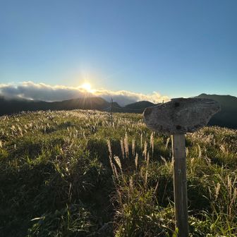 バディが穏やかじゃなかった平和丸