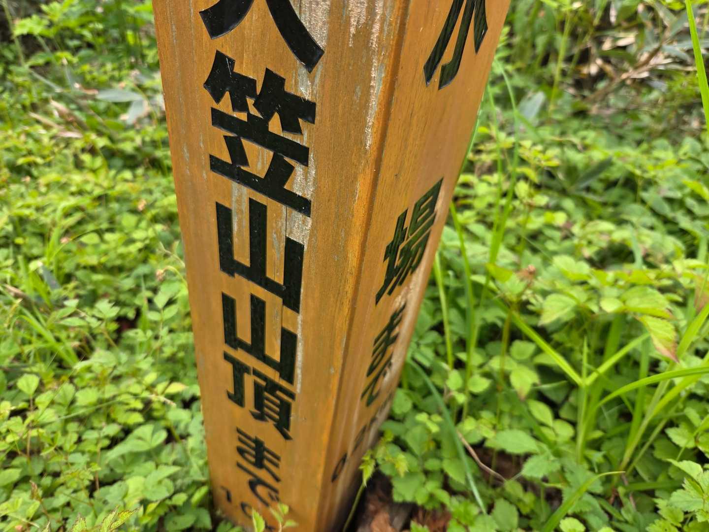 水場の往復２０分

昨年の６月２９日(日)は大門山～大笠山縦走、大笠山で水を切らしてこの水場に向かいましたが、雪渓の急斜面を渡れず水汲みを断念しまして、干からびながら水無し４時間下山しました。虫除けハッカ油エタノールミックスを口元に噴霧したりして、あれは悲惨やったな～😖