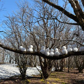 こんなに⛄️作れる時もあったのねー😅