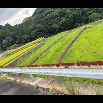 夏の坂本棚田は初めて｡棚田でちょうど草刈り作業中の方がみえた。