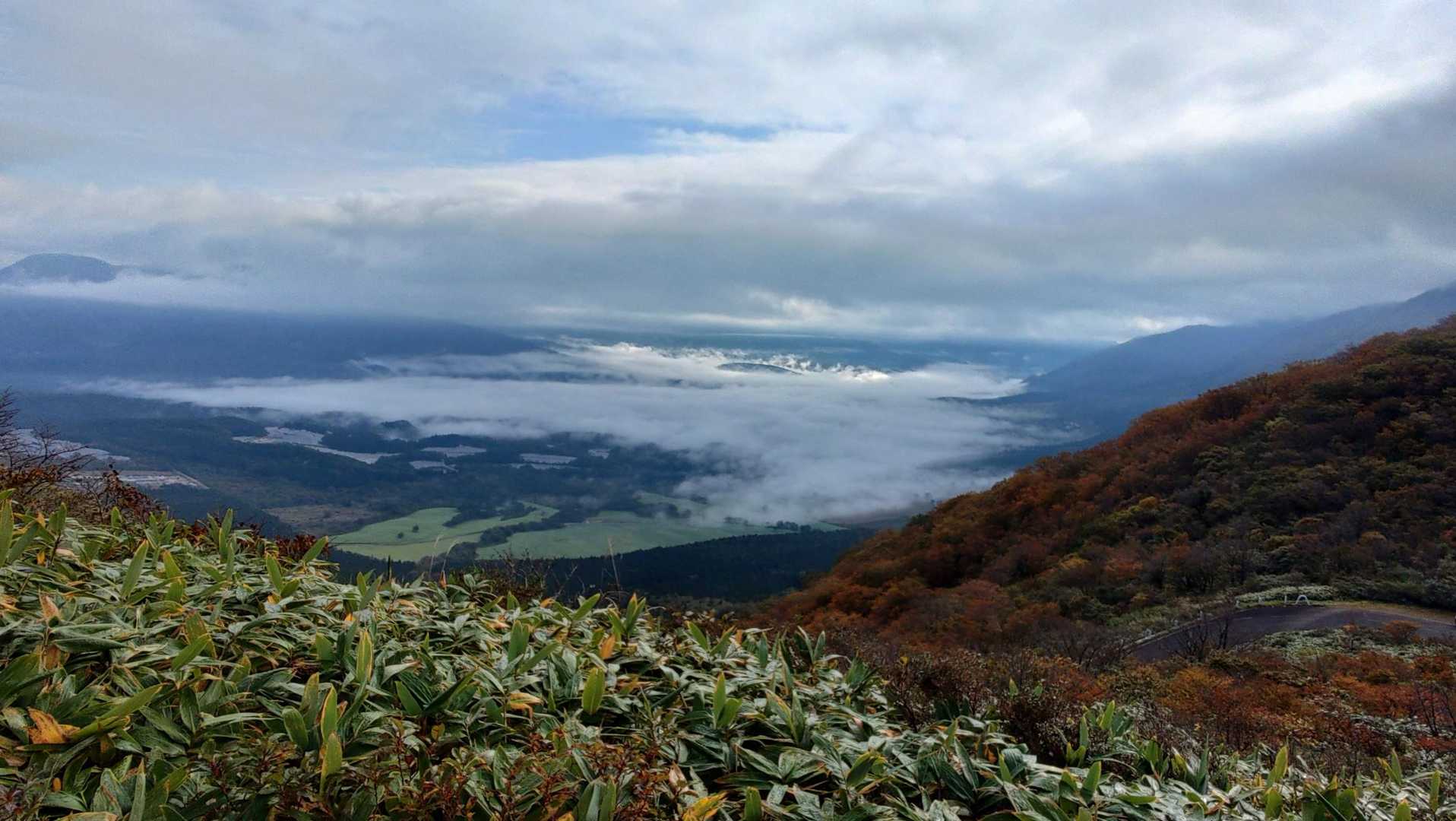 花立峠-禿岳 往復コースの写真
