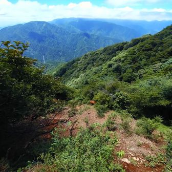 ヤビツ峠分岐付近の撮影スポットの1〜2m先に進むと、おッ⋯⁉️