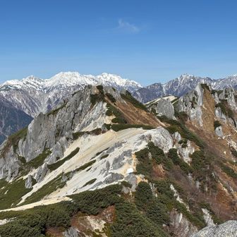 立山は真っ白だね