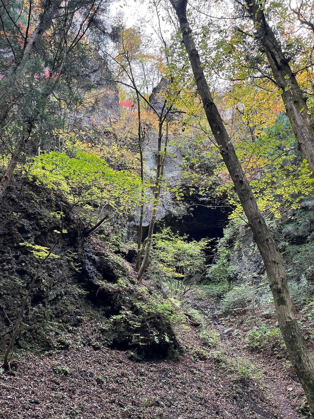 子持山 周回コースの写真