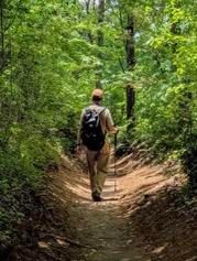 ラッキーゾーン