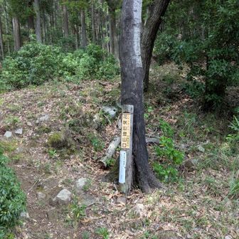 花咲山
旧センター一宮から