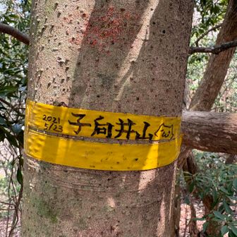 本日六座目、子向井山