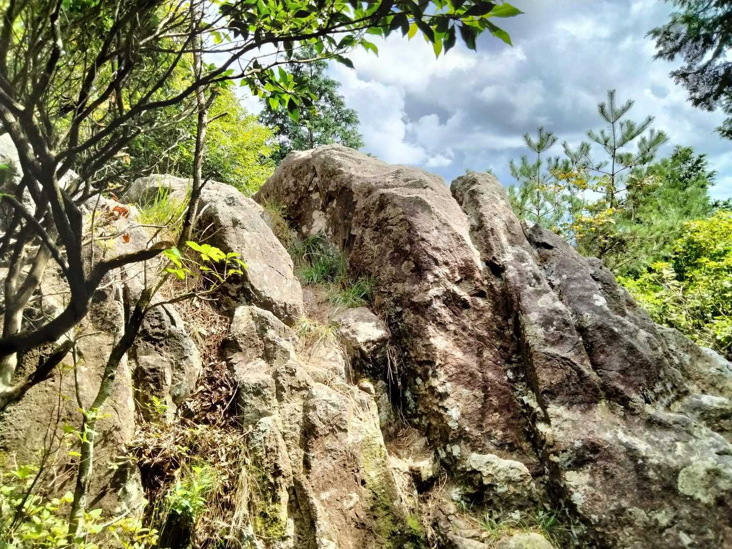 カンノ木山のピークは岩の上です。