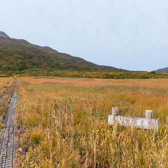 登山道入口は湿地帯です
