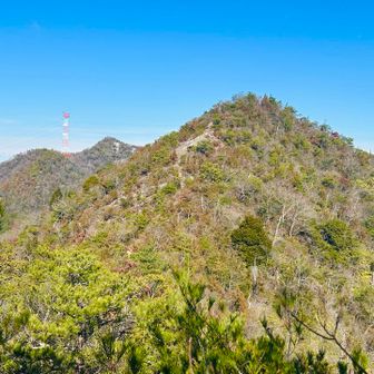 早くも第2ピークが見えてきましたよ👀
この前登った大坂山のような⛰️