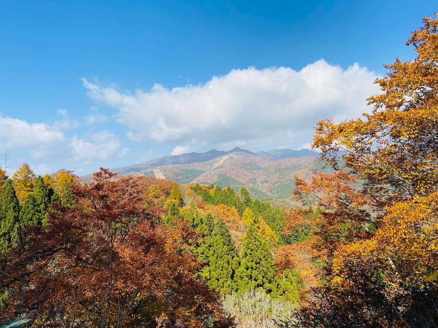 桧峠-毘沙門岳 往復コースの写真
