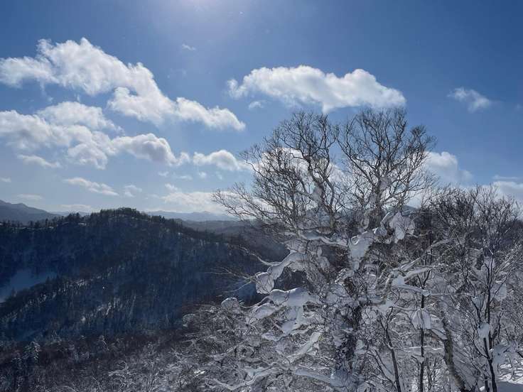 タケノコ山（北海道） | YAMAP / ヤマップ