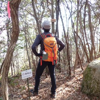 鉄塔を過ぎて、5座目、傘松山到着！（呉九嶺のひとつ）

巻道もありますが100ｍルールに甘んじず、自力でGET！😤

こーさんプレートありました～👋

