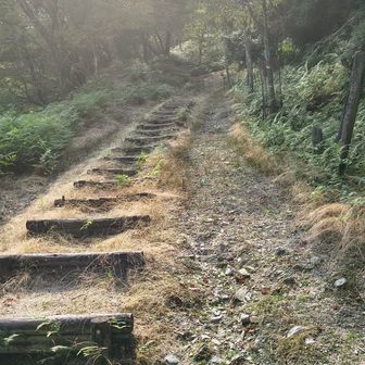 時折、山道にも入ります