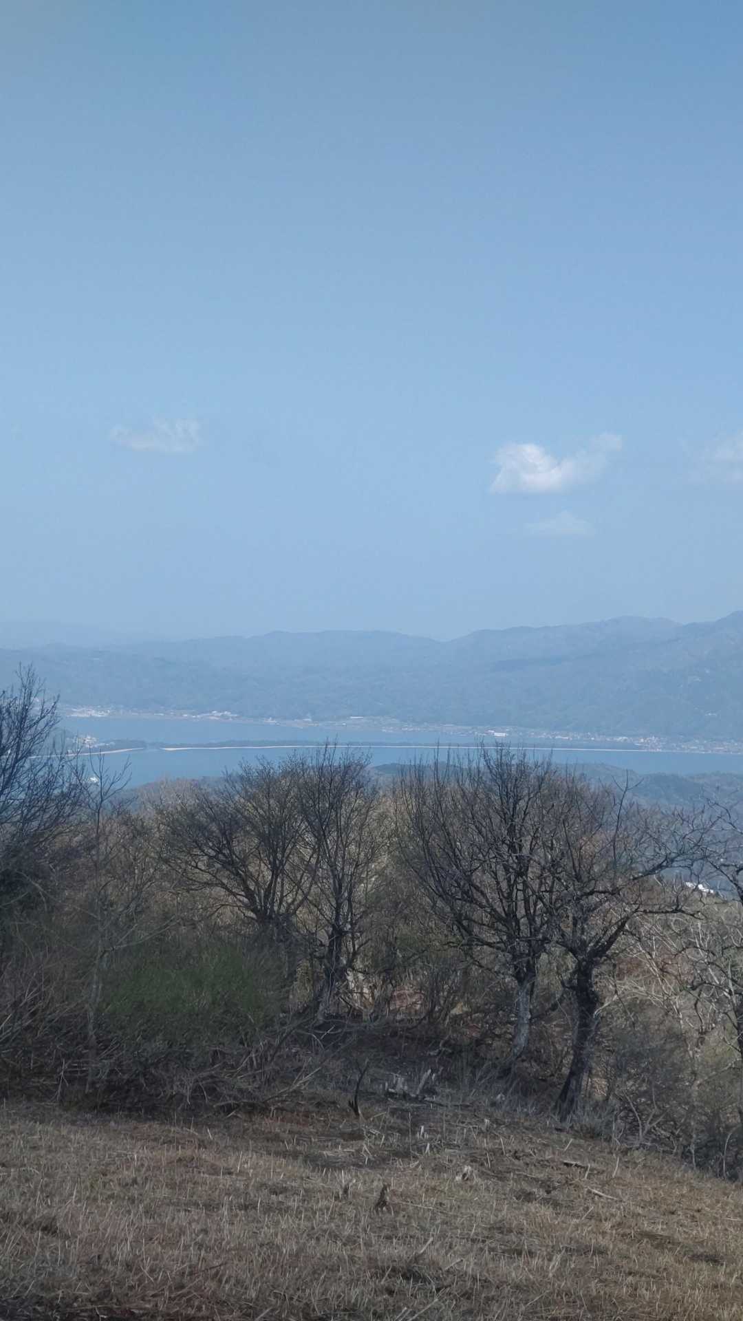 天の橋立