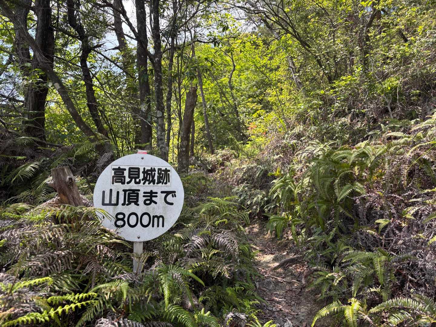 800メートル💦ここから長かった