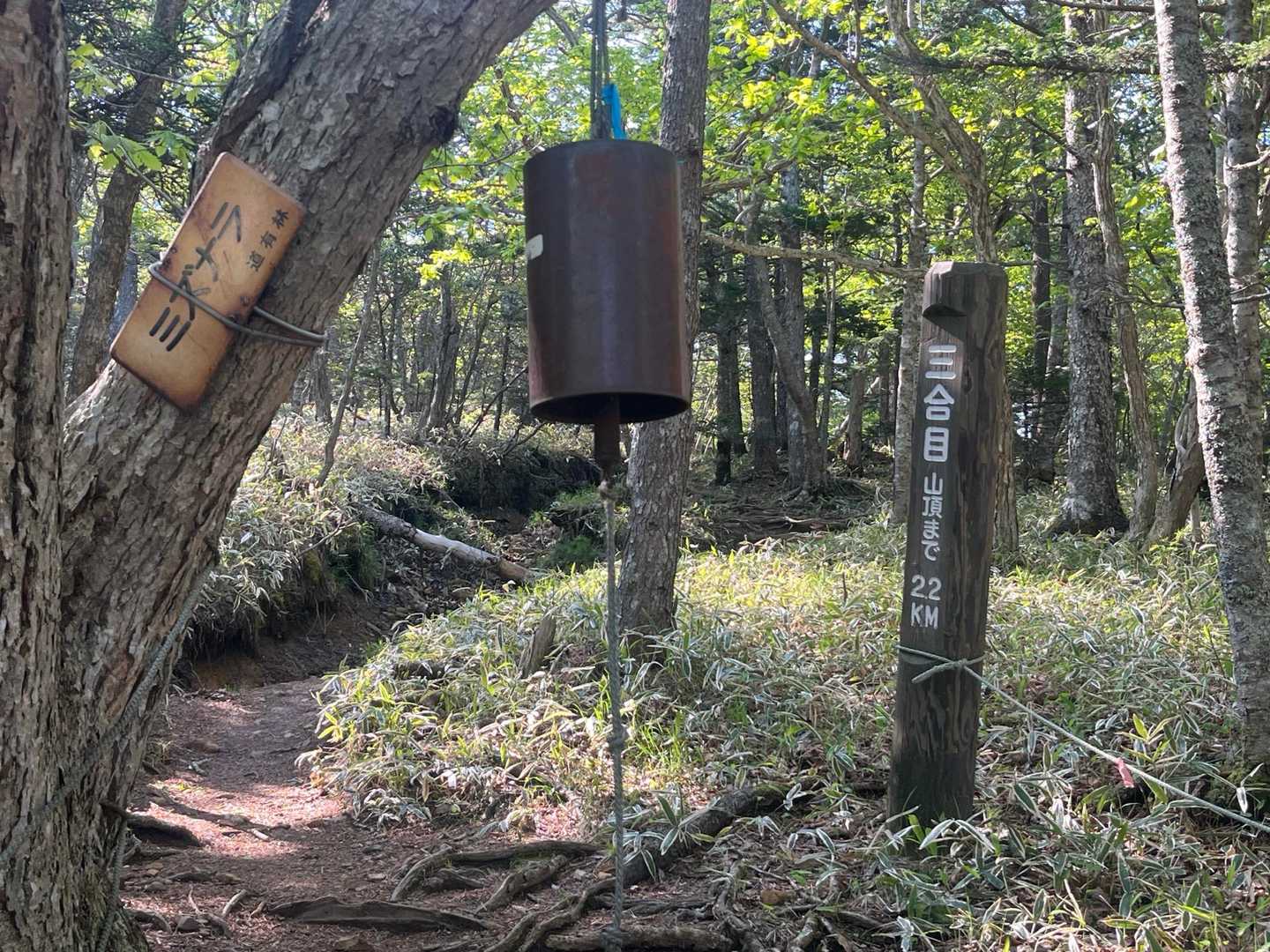 鐘
結構いい音します