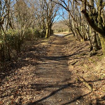前方は長尾山の頂上