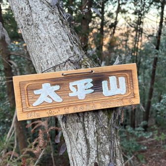 真新しい山名板が…。
日付は２日前になってます。
