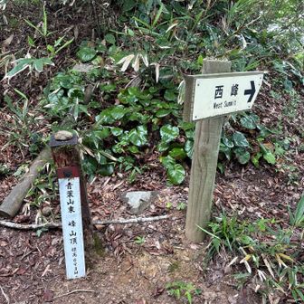 東峰に到着〜眺望の看板がありましたが、鎖が掛かっていて行ける様子ではありませんでした