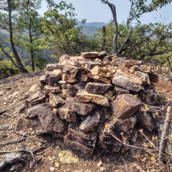 山頂プレート無いけど焼山▲