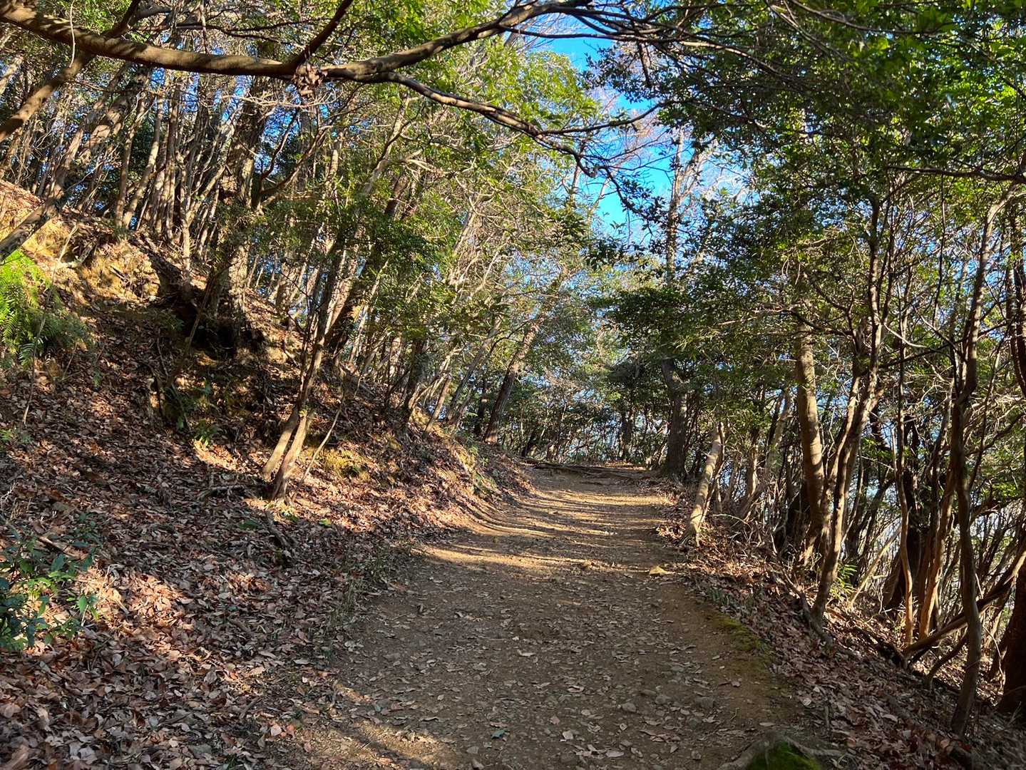 桝形山までの登山道は、こんな感じ😁
急なところがほとんど無いから歩きやすいな。
