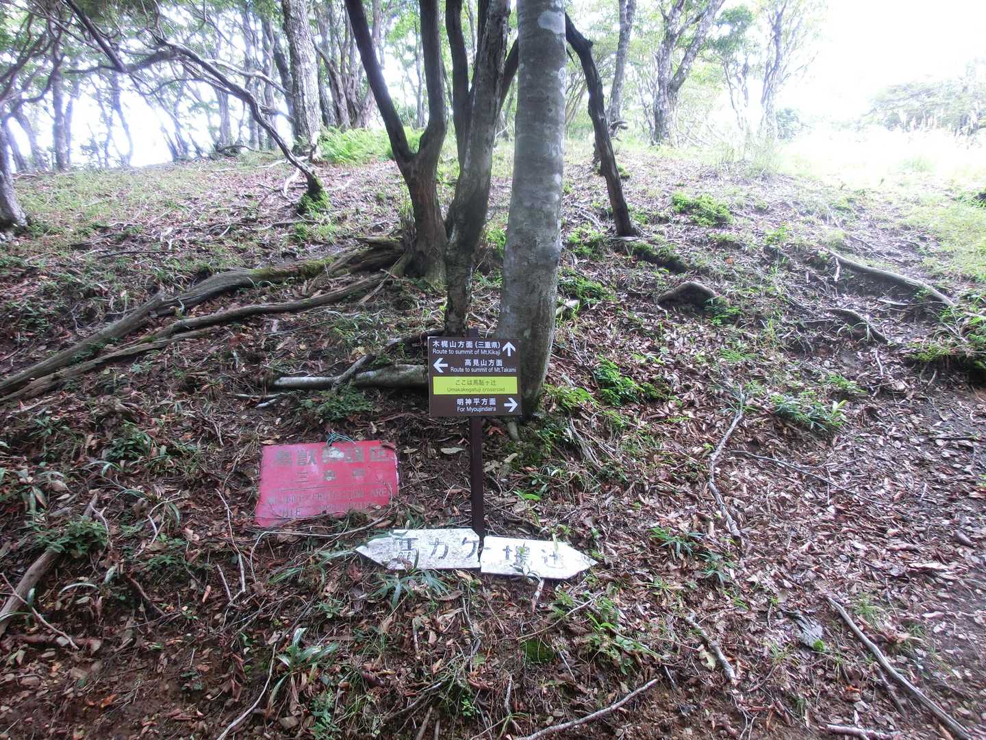 馬駈ヶ辻（標高1,320m）
左折（東へ）して木梶山へと向かいます