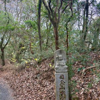 こんな標識も雰囲気あってステキ✨