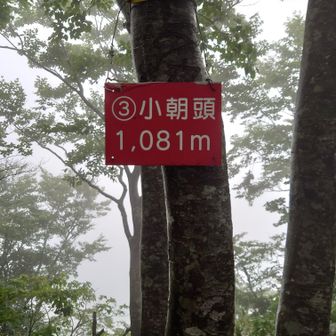 小朝頭山頂