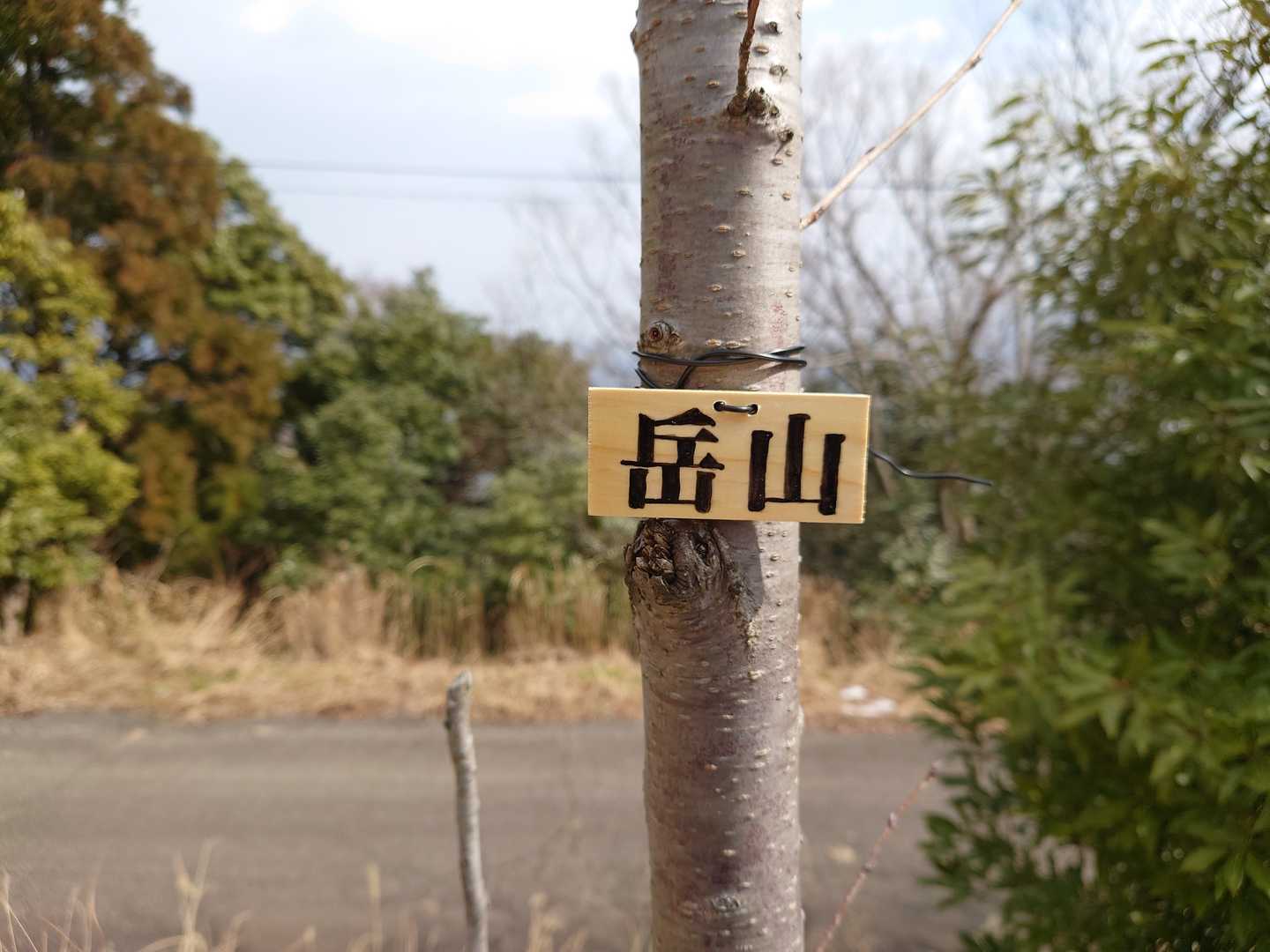 岳山山頂は広い駐車場になってる