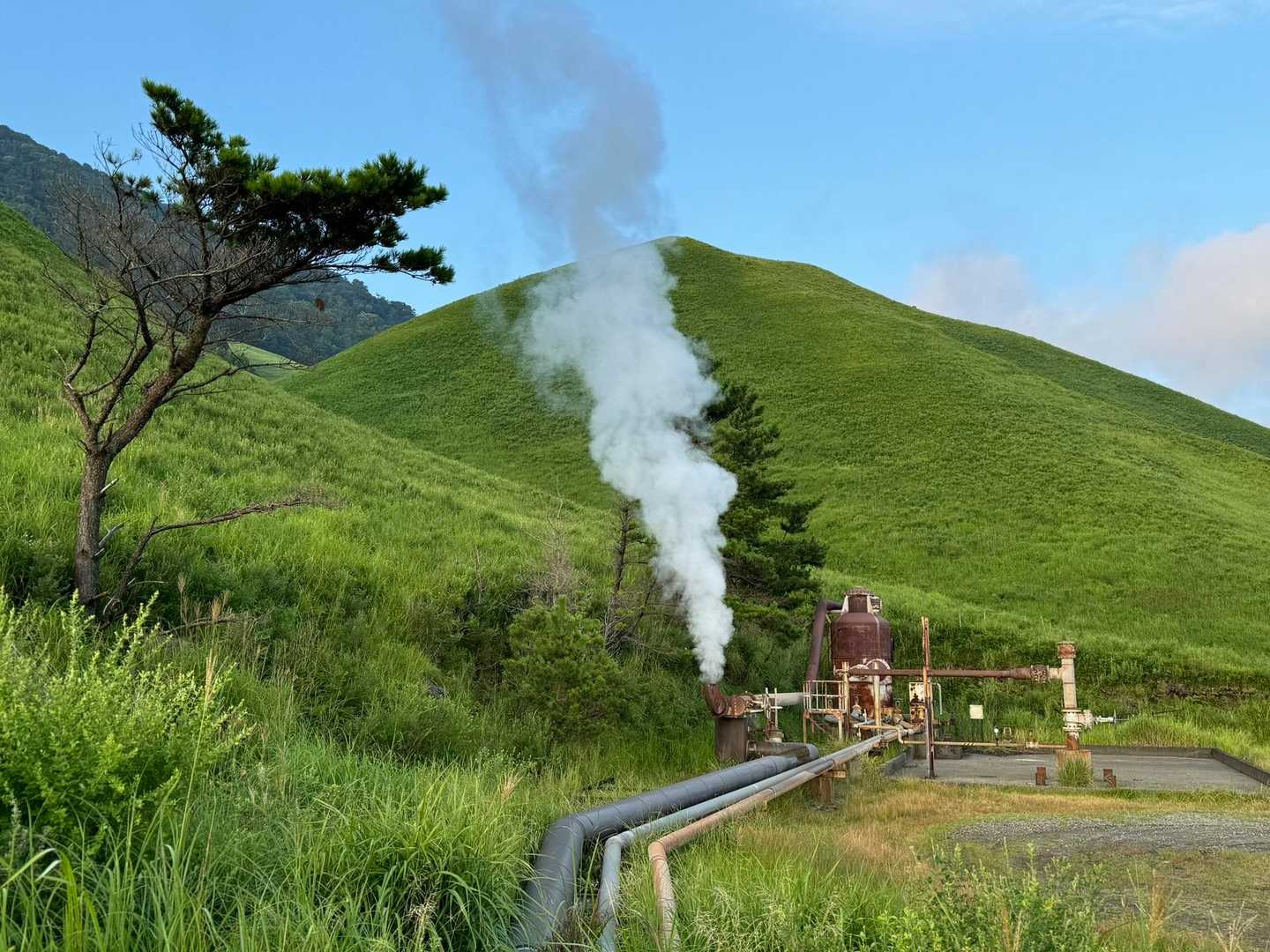 元気よく湯気が上がっております♨️