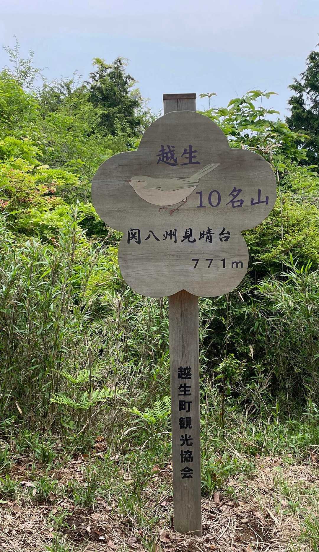 知らなかった！<越生10名山>のひとつなんだ😍４月に行った<大高取山><虚空蔵尊さくら山>と同じでお花のカタチの山頂標識だ😊