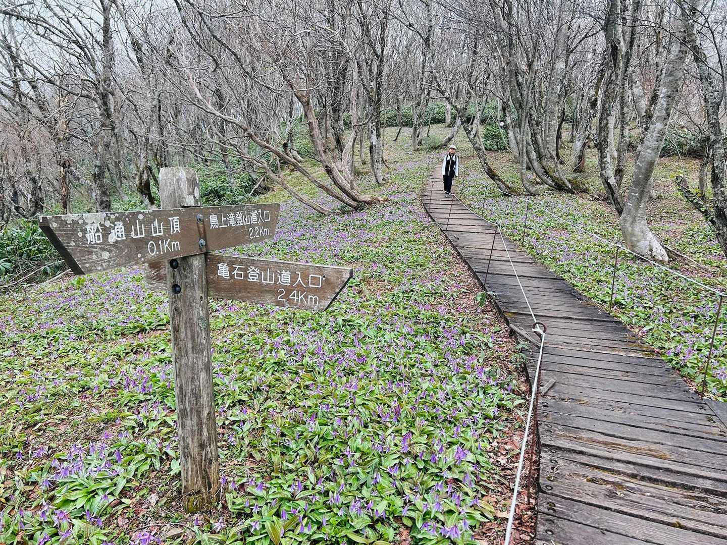 亀石コースで下山開始です。