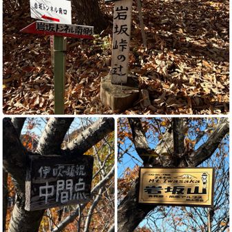 岩坂峠の辻→岩坂山

伊吹の滝と猿啄城展望台登山口からの
中間点ってことかな？

ここで遅めランチタイム🍙🥯
