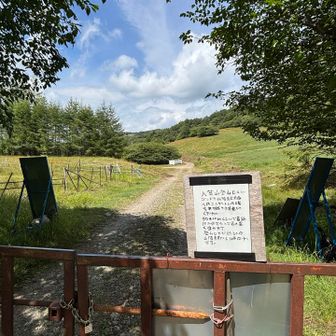 ここ跨いで入笠牧場にお邪魔して帰るぜ