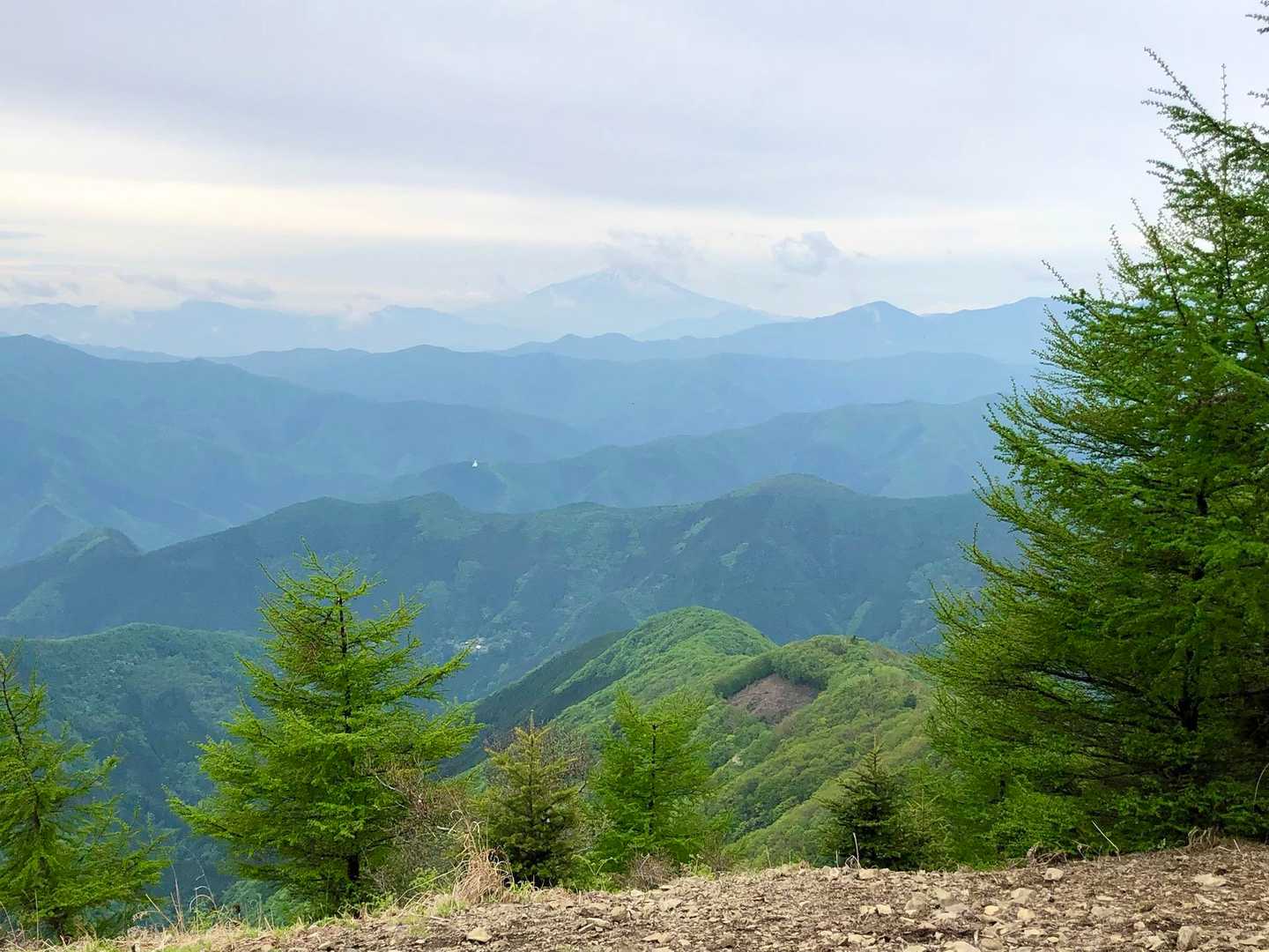 鷹ノ巣山は山頂からの景色がすごく良かった。曇りだけど富士山はうっすら見えた。
