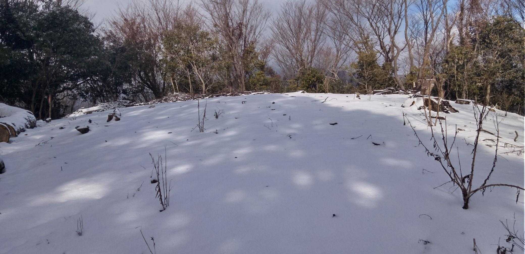 誰も踏み入れてない雪山
踏んでみた。😃💕