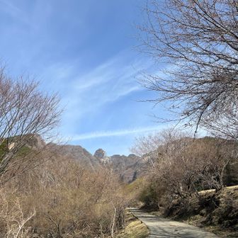 ギザギザがちょっと見える