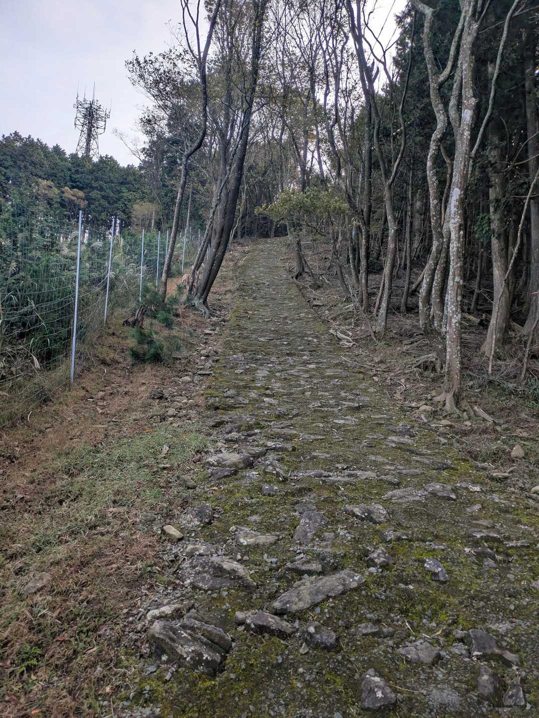 雨山登山口-雨山山-屋床峰-馬の背平-本宮山 周回コースの写真