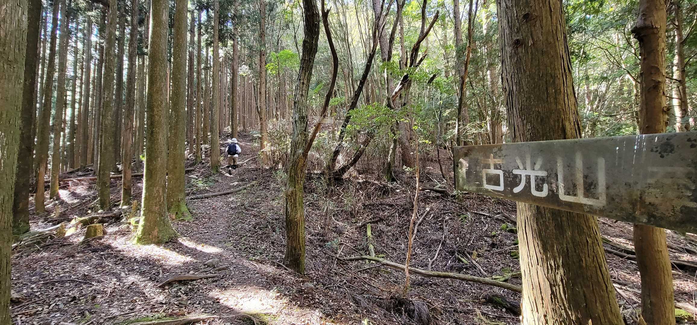 みんな無事崖を下り終えて、古光山本峰へと向かいます。